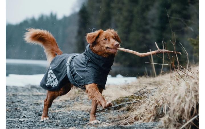 Immagine prodotto Hurtta Impermeabile monsonico grigio scuro (55, M, Cappotto impermeabile per cani)