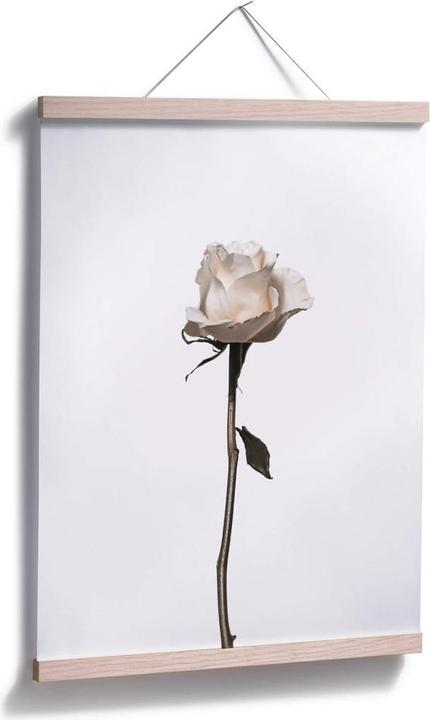 Actual product image Trenddeko The white rose (30 x 40 cm)