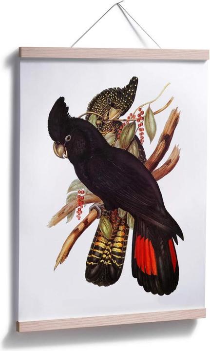 Produktbild Trenddeko Schwarzer Kakadu (30 x 40 cm)