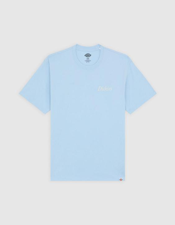 Produktbild Dickies Companion Script Ss Tee Skyway (L)