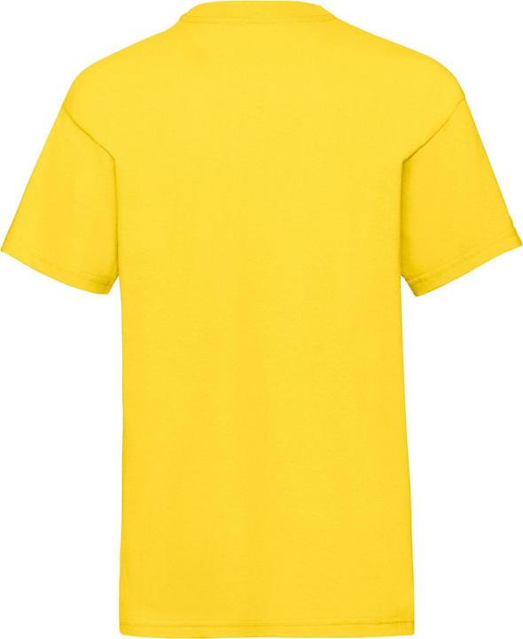 Actual product image Fruit of the Loom Childrens/Kids Value T-Shirt (152, 158)