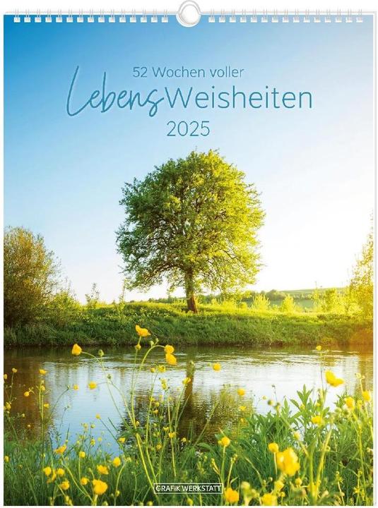 LebensWeisheiten (24 x 32 cm, Weicher Einband, Deutsch)