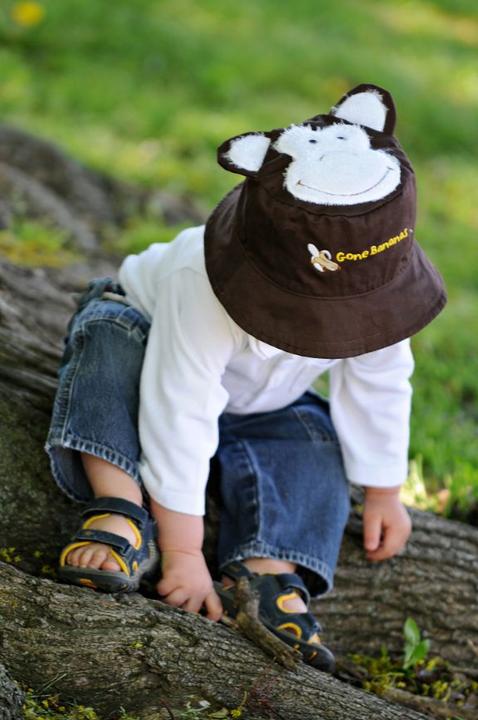 Image du produit flapjackkids Lion & Singe (50)