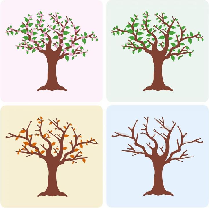 Actual product image Trenddeko Four Seasons Quartet (60 x 60 cm)