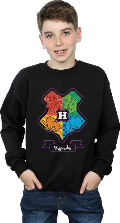 Produktbild Hogwarts Junior Crest Sweatshirt Jungen (140, 146)