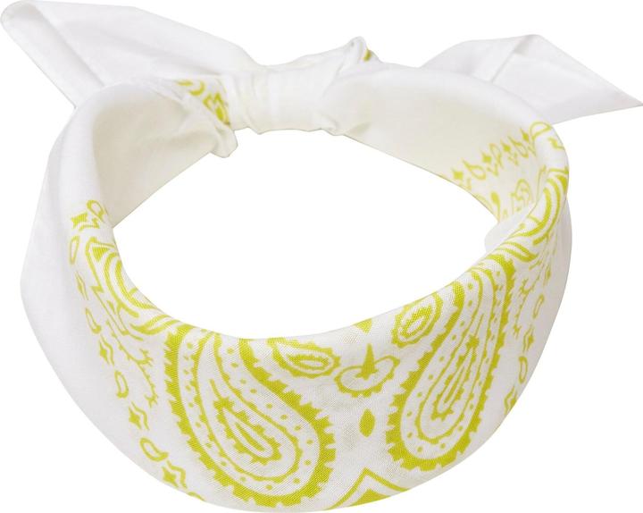 Produktbild Masterdis Bandana