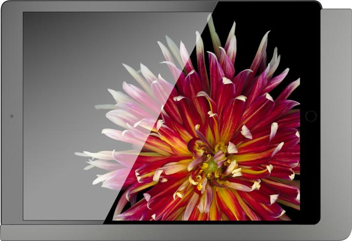 Image du produit Viveroo 510171PD Support mural pour iPad anthracite laqué