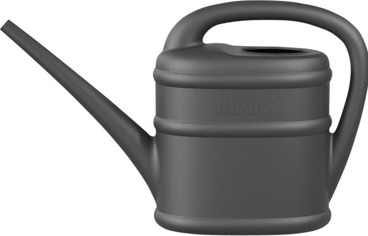 Actual product image Ebertsankey Watering can 2 l (2 l)