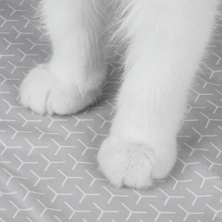 Actual product image Petkit High Performance