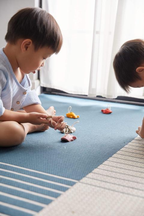 Actual product image Plantoys Fishing game (English, German, French, Italian, Swiss German)