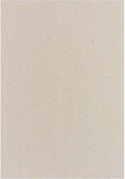 Immagine prodotto Elco Inserire cartone grigio C4 (23 x 32 cm, 10 x)