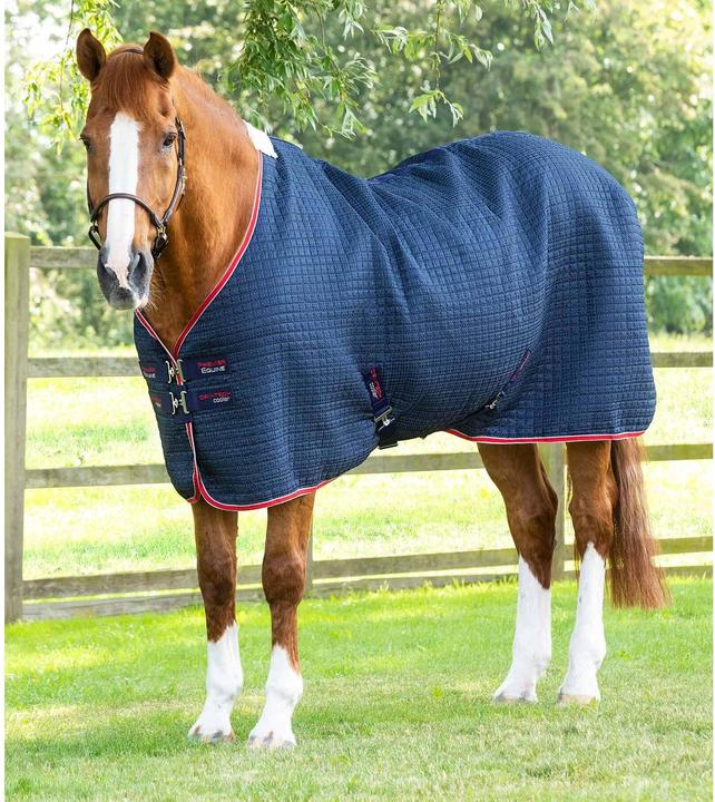 Produktbild Premier Equine Walker 0 g (175 cm)