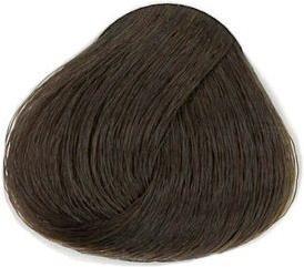 6.1 dark blond ash