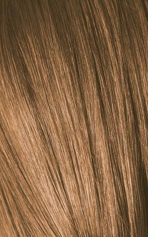 Produktbild Schwarzkopf Professional Igora Expert (7-5 Mittelblond Gold)