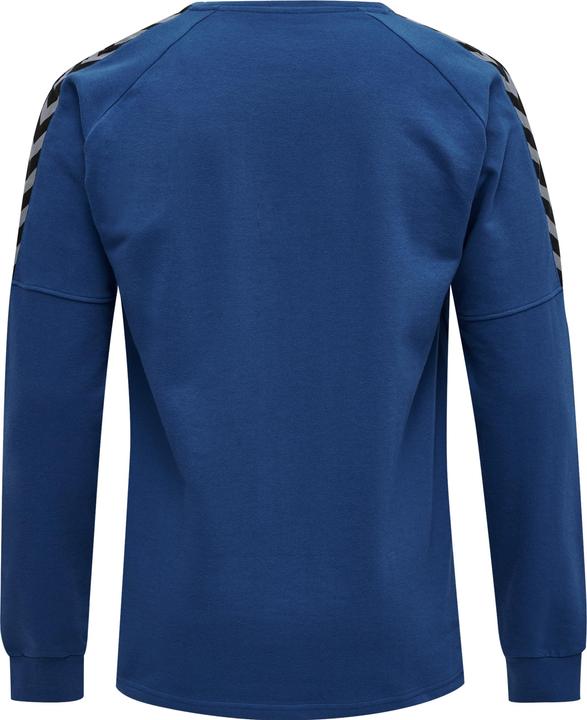 Actual product image hummel Authentic Training Sweat (XL)