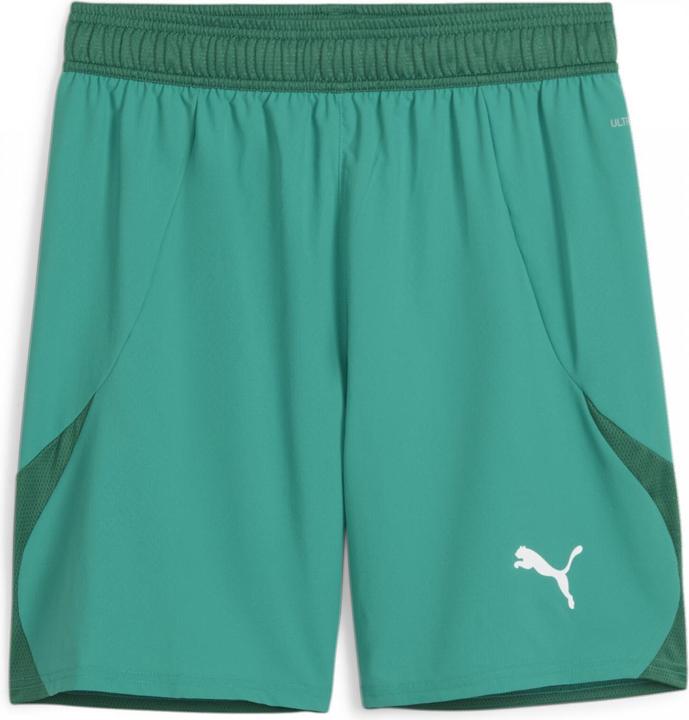 Actual product image Puma teamFINAL Shorts (M)