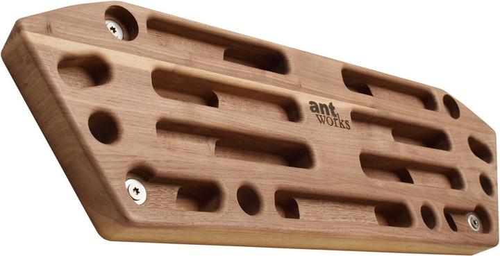 Antworks Strong Ant III dark Fingerboard