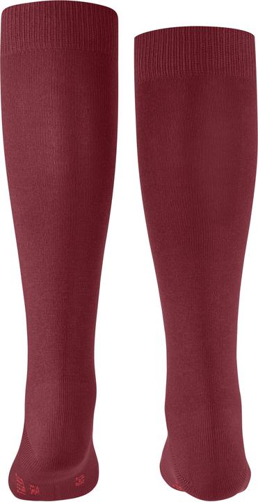 Image du produit Falke Family KH (Une unité par pack, 23 - 26)