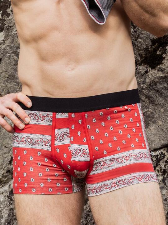 Produktbild ISA Bodywear Schwingerkollektion Pant (M)