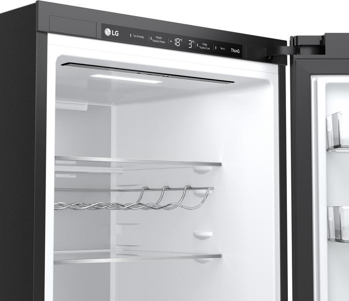 Actual product image LG GBB72TW9DQ (384 l)