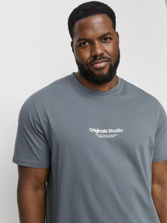 Image du produit Jack & Jones Jorvesterbro Tee Ss Crew Neck Noos Pls (XXL)