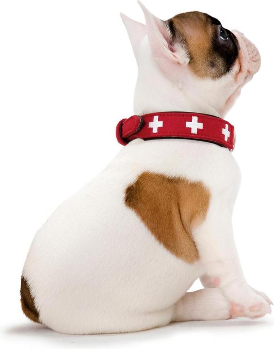 Image du produit Hunter Suisse (Chien, Sport canin)