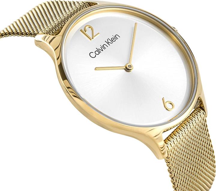 Produktbild Calvin Klein Timeless Mesh Damenuhr 25200003 + BOX (Analoguhr)