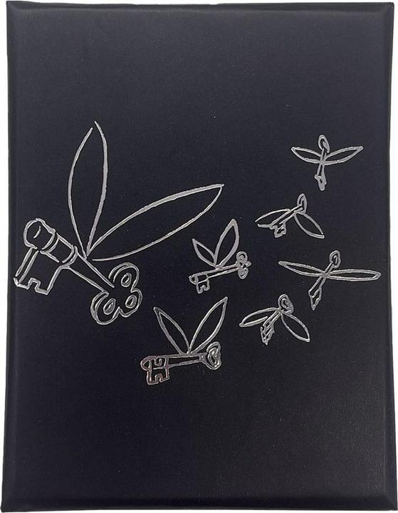 Image du produit Fanattik Harry Potter Collier & Pendentif Clé Volante