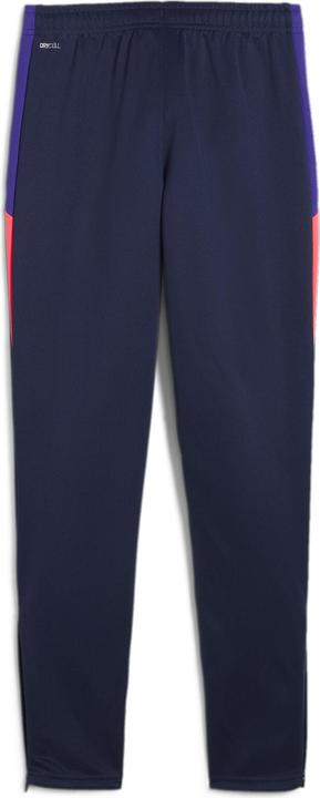 Actual product image Puma IndividualLIGA Training Pants Jr (140)