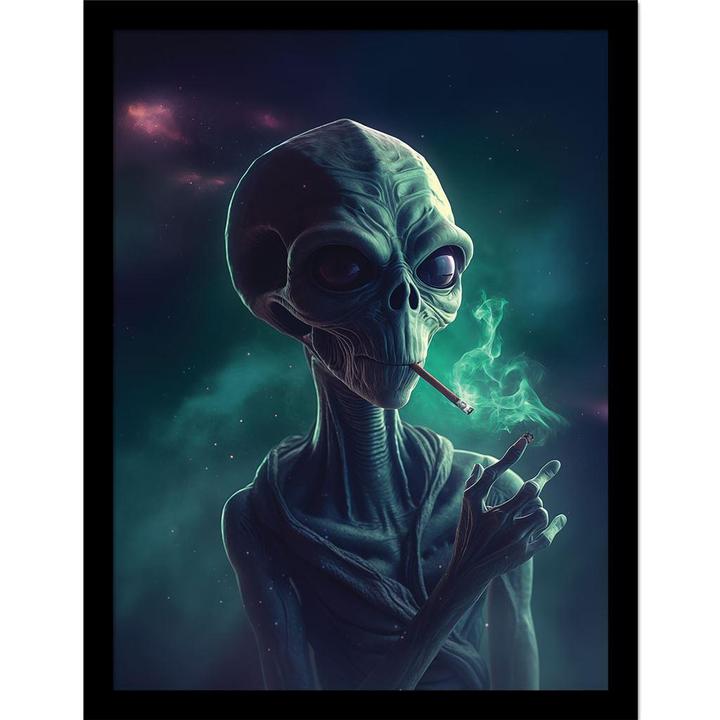 Produktbild Ada Ingram Gerahmtes Poster Stoner Alien (40 x 30 cm)