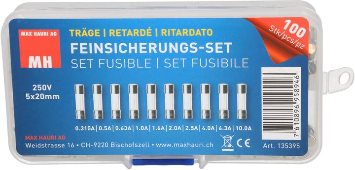 Max Hauri Feinsicherungs-Set 10x10 Stk. (Feinsicherung, 10 A, Träge)