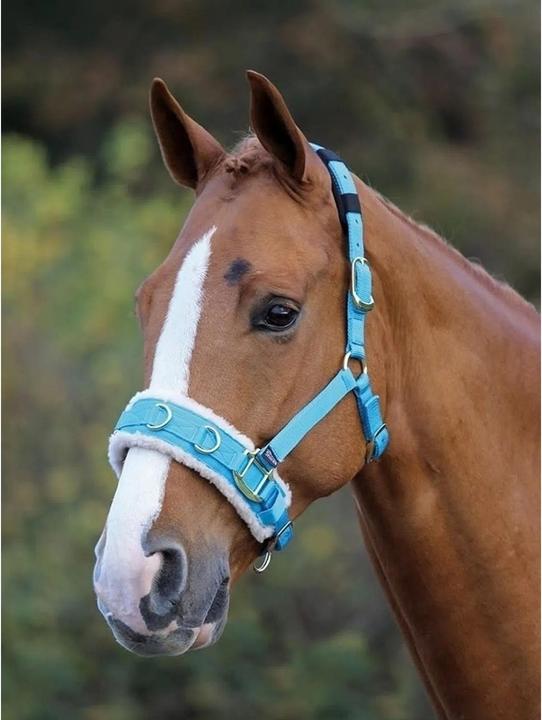 Actual product image Shires Fleece-lined lunge girth for horses