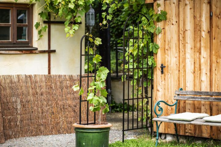 Image du produit Windhager Rampe de fleurs (152 cm, 26 cm)