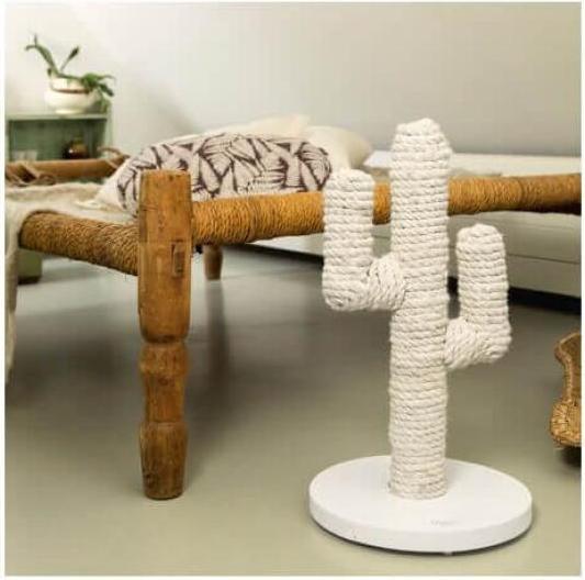Actual product image Designed by Lotte Cactus (60 cm, Brown, Black, Dark brown)
