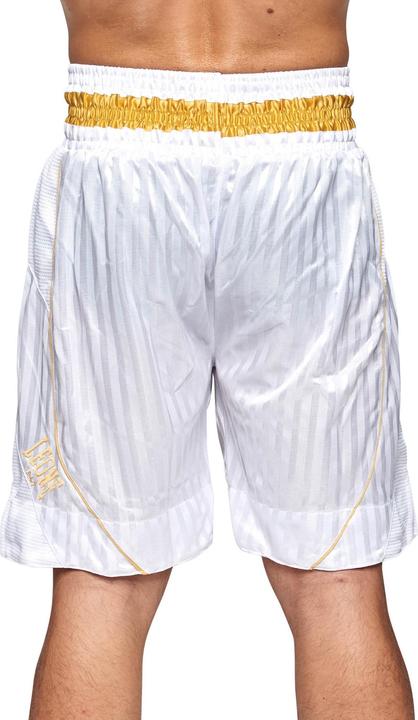 Actual product image Leone Premium boxing trousers AB240 (L)