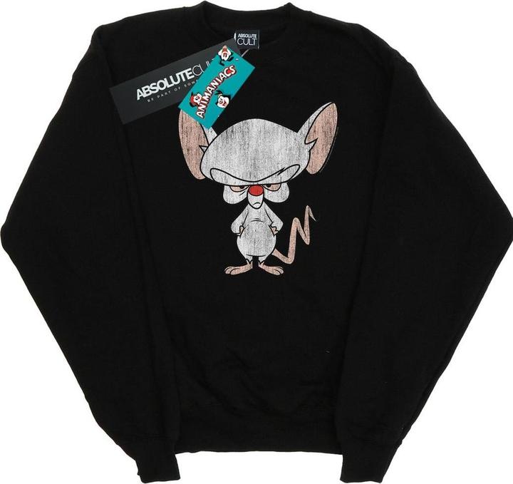 Image du produit Universal Textiles - Sweat THE BRAIN CLASSIC POSE - Homme (L)