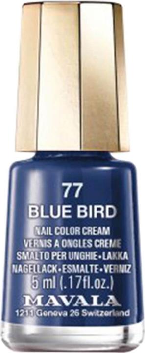 blue bird