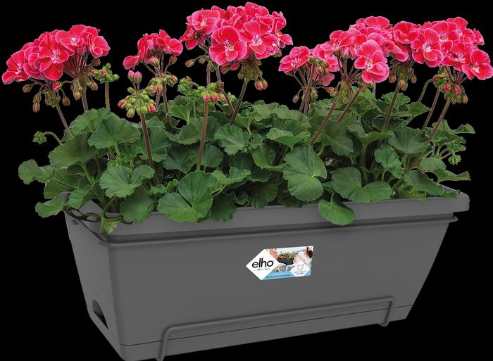 Image du produit Elho Barcelone Allin (32 cm)