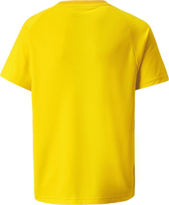 Actual product image Puma teamVISION Jersey Jr-704928 (176)