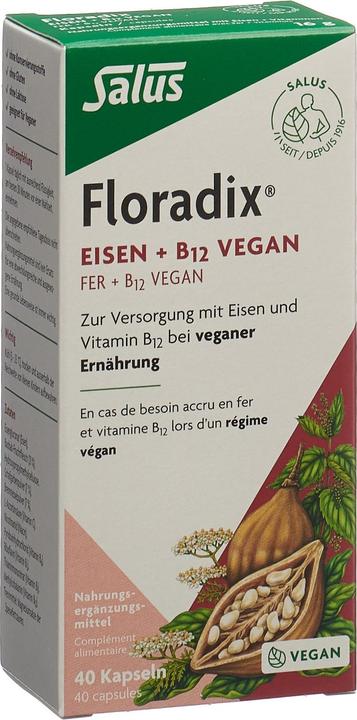Actual product image Floradix Iron and B 12 Vegan (1 Piece, Capsules, 37 g)