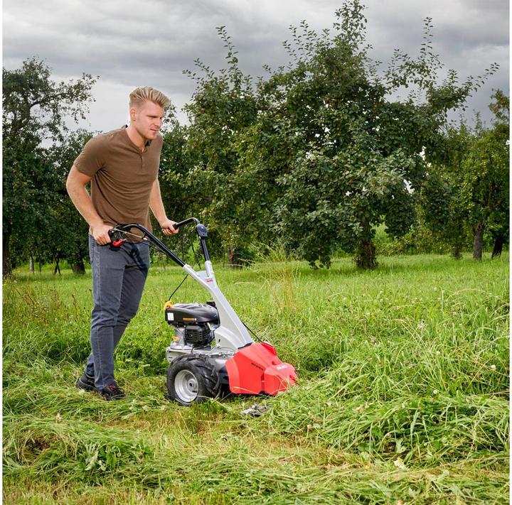 Actual product image AL-KO Balkenmäher BM 875 IV (Petrol)