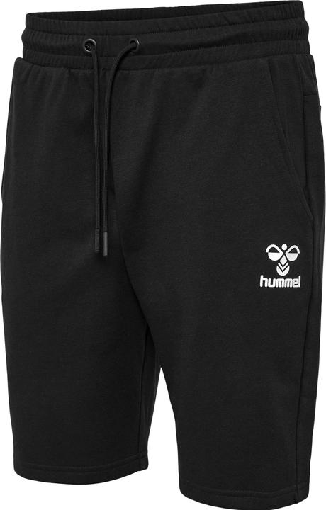 hummel Hmlicons Regular Shorts