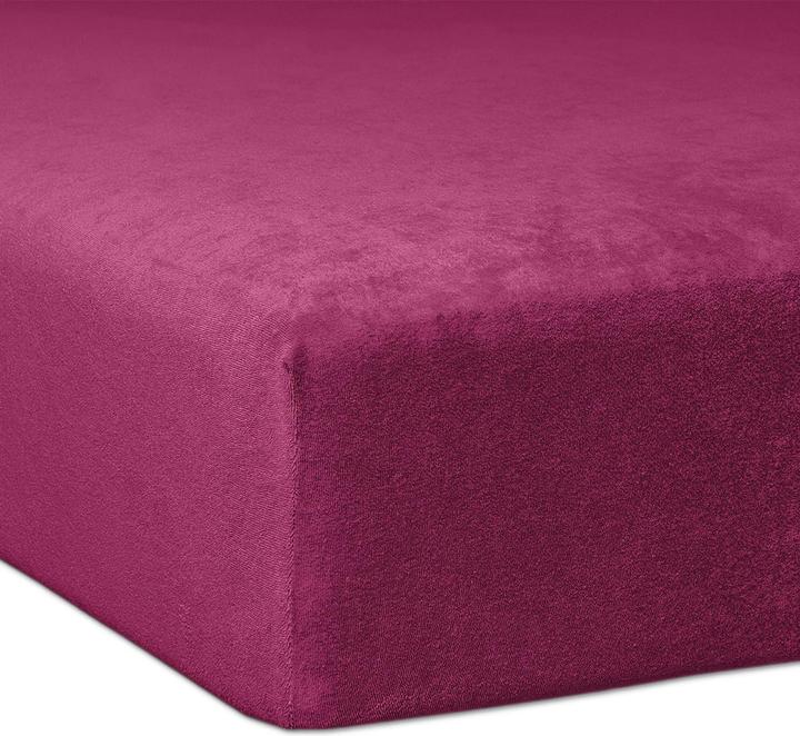Image du produit Traumschlaf Éponge polaire (180-200 x 200 cm)