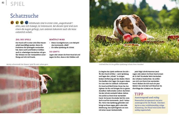 Produktbild Spiele und Action für ausgeglichene Hütehunde (Deutsch, Marion Albers, 2023)