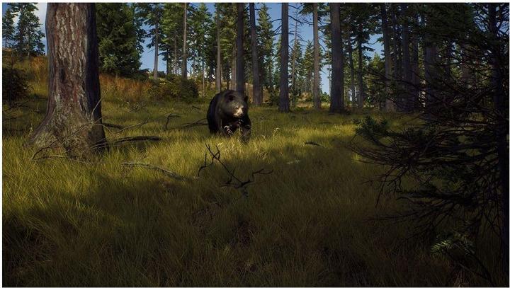 Actual product image THQ Way of the Hunter - Hunting Season One (Xbox Series X, EN)