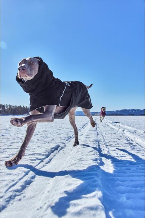 Immagine prodotto Hurtta Scaldino Estremo V3 Eco Nero, 35 cm (35, Cappotto per cani)