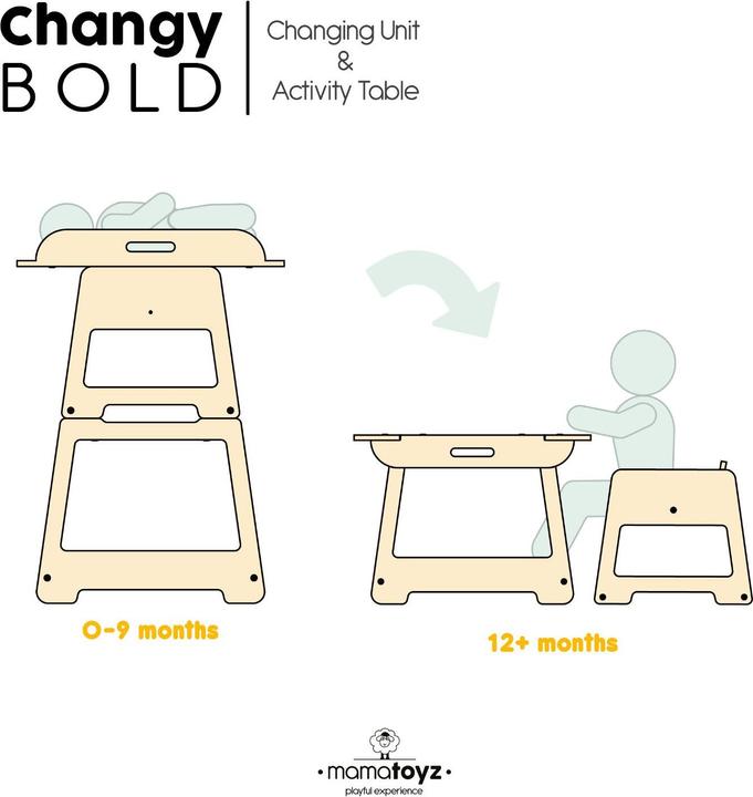 Actual product image MamaToyz Changy 2in1