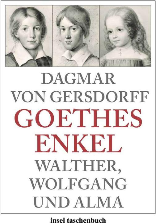 Actual product image Goethes Enkel (German, Dagmar von Gersdorff, 2011)