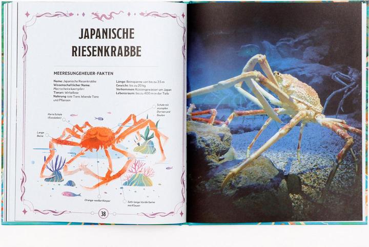 Actual product image Echte Meeresungeheuer (German, Jianan Liu, Anita Ganeri, Frederik Kugler, 2024)