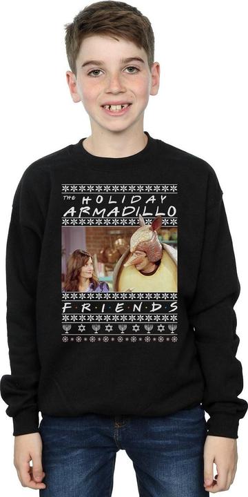 Immagine prodotto Friends Fair Isle Holiday Armadillo Felpa Ragazzi (140, 146)